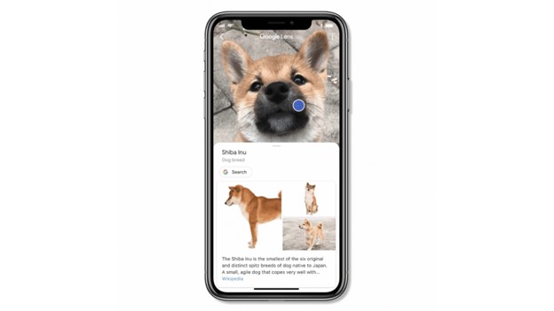 google lens example